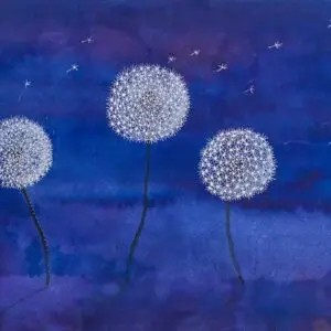 Dandelions